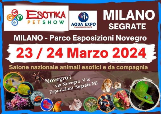 Special Turtles sarà presente in Fiera il 23/24 Marzo al Parco esposizioni Novegro di  SEGRATE Milano 